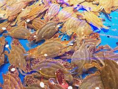 -澜悦港海鲜体验主题餐厅