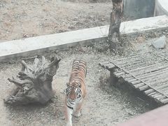 -石家庄市动物园