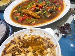 -生态苑农庄(十里画廊遇龙河店)