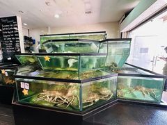 -镇发活海鲜(Clementi)