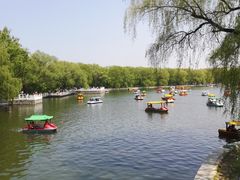 -北陵公园