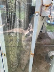 -萌宠亲子动物乐园(槐房万达店)