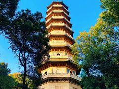 -灵谷景区