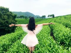 -帐篷客·溪龙茶谷度假酒店