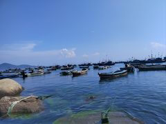 -海源公园