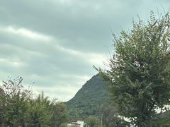 -谢三姐金奖啤酒鱼(瑞丰园店)