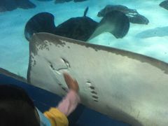 -苏州海洋馆