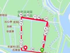 -合肥滨湖国家森林公园