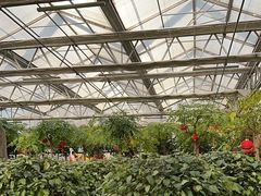 -南宫五洲植物乐园