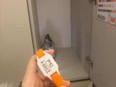 -漫·汤泉