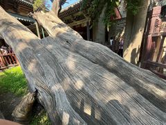 -晋祠博物馆
