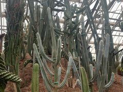-南山植物园
