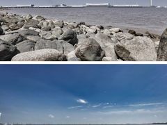 -上海吴淞炮台湾国家湿地公园