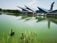 -盐城丹顶鹤湿地生态旅游区