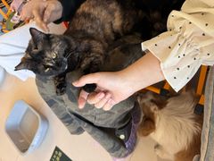 -平行世界·猫咖(首经贸店)