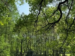 -杭州植物园