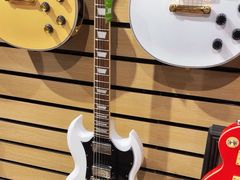 -柏斯琴行(汾阳店)