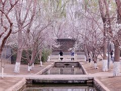 -三里河公园