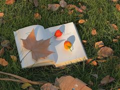 -真地道京味府·鲜橙烤鸭·北京菜(朝外大街东大桥店)