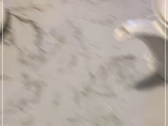 -金汤宴餐厅·粤菜(德云社店)