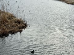 -泸沽湖国家级风景名胜区走婚桥