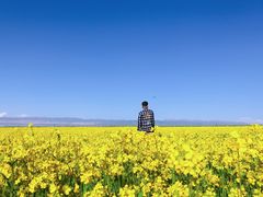 -青海湖国家重点风景名胜区