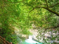 -广州白江湖森林公园