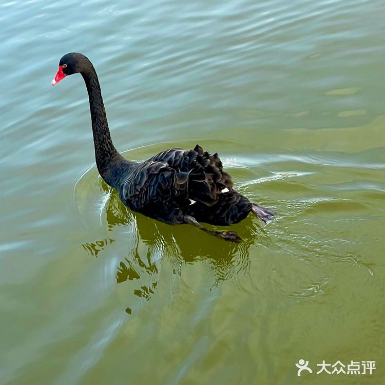 一不小心说了大实话🔈🔈🚣🏻‍♀️...