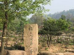 -采石矶景区