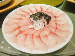 黑鱼片-享月汤皇·海鲜小火锅·聚会(曲江创意谷店)