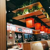 这个月来吃猫爪烤肉的第N次