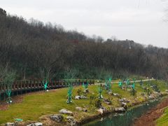-羊山湖公园