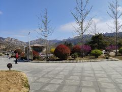 -崂山风景区-大河东游客中心