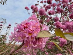 -上楼私房菜(院士路店)