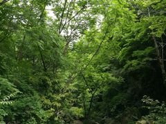 -太湖源风景区