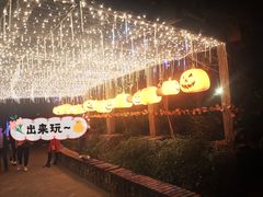 -南湖梦幻岛