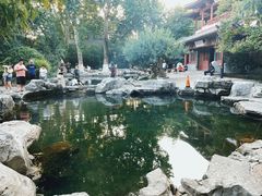-趵突泉景区
