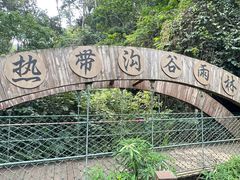 -西双版纳原始森林公园
