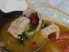 -港升鱼师傅·中山脆肉鲩