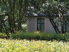 -徐家汇源景区-衡山公园