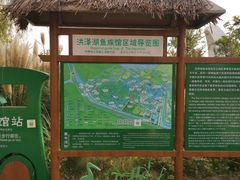 -泗洪洪泽湖湿地景区