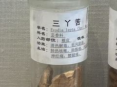 -广东中医药博物馆