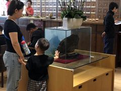 -正安中医(广渠店)
