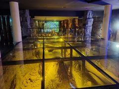 -乐山乌木文化博览苑