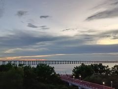 -宝安西湾红树林湿地公园