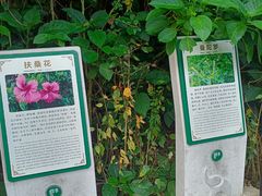 -野象谷景区