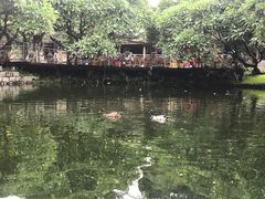 -晓港公园