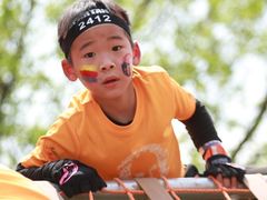 -春花秋色城市公园