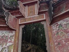 -南山植物园