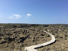 龙坑生态保护区-龙坑生态保护区